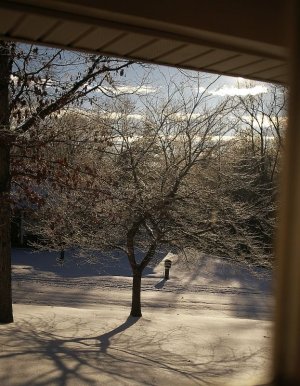 IMGP8468.jpg IMGP8468.jpg