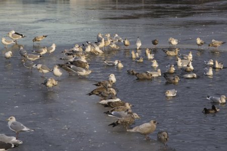 IMG_7557T1 Ne (Small).jpg IMG_7557T1 Ne (Small).jpg