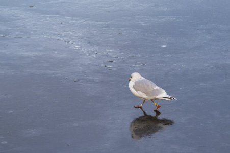 IMG_7593T1 Ne (Small).jpg IMG_7593T1 Ne (Small).jpg