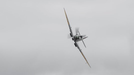 Spitfire-3.jpg