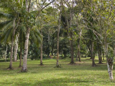 PXL_20260124_204308027.jpg PXL_20260124_204308027.jpg