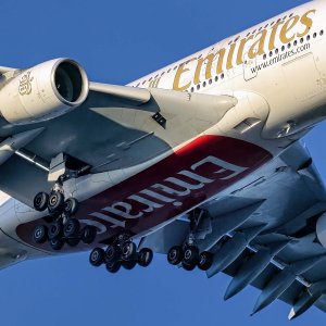 R5m2 R5M26728 Crop 1600 FR.jpg