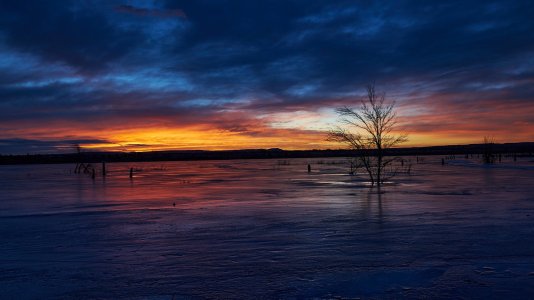 FOP Sunrise and Eagles_117.JPG