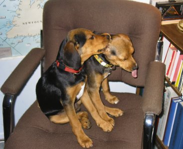 Thanks for that 2T1Ne (Small).jpg