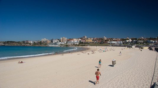 untitled (515 of 3938).jpg