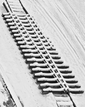 Snowy Tracks.jpg
