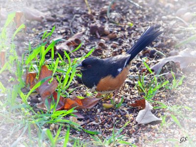 IMG_5404.jpg