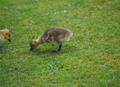 untitled (3875 of 3938).jpg