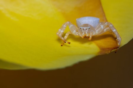 _DN_3735-DxO_DeepPRIME XD2s-Edit.jpg