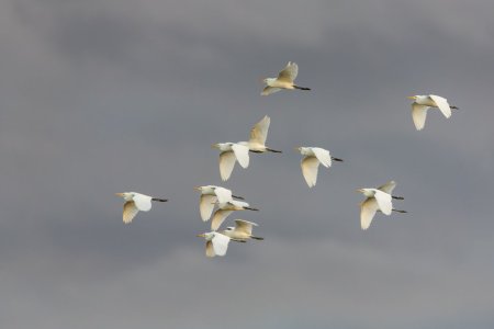 _23A8493-DxO_DeepPRIME XD2s-Edit_cropped.jpg