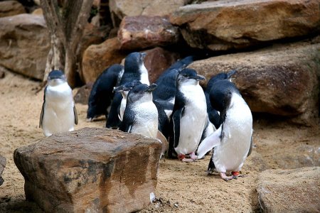 untitled (570 of 3938).jpg