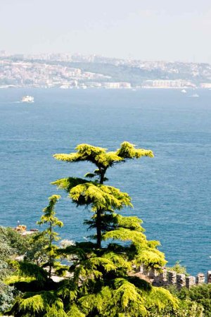 untitled (630 of 3938).jpg