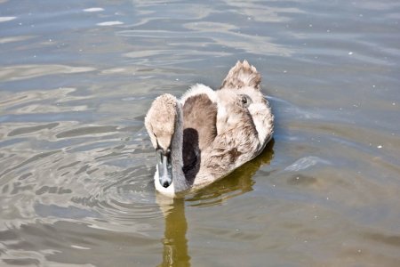 untitled (749 of 3938).jpg