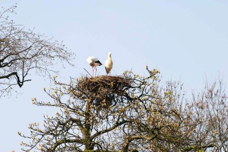 untitled (308 of 3938).jpg