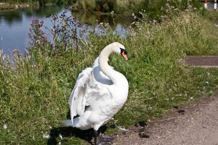 untitled (752 of 3938).jpg