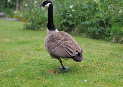 untitled (3874 of 3938).jpg