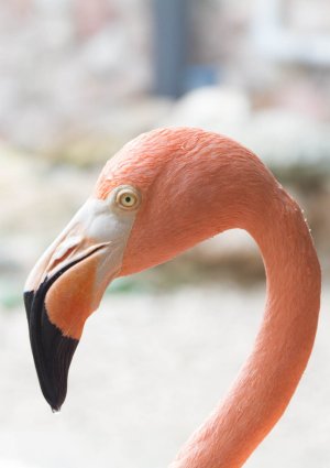 untitled (3311 of 3938).jpg