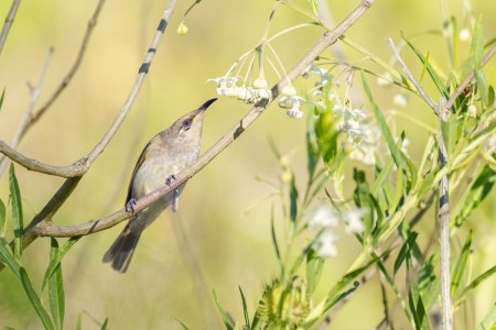 _WP_7047-DxO_DeepPRIME 3-Edit.jpg