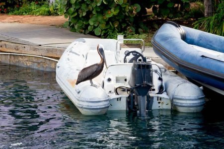 untitled (3293 of 3938).jpg