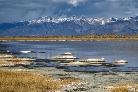 FOP San Luis Lakes_471 1.JPG