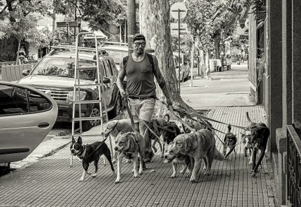 Walkabout B&W.jpg