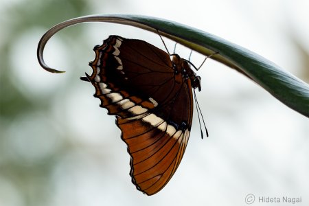 R516_4366.jpg