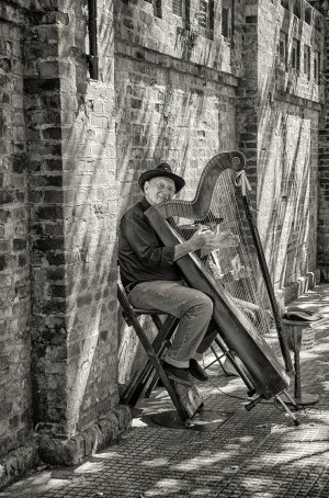 Recoleta Harpist B&W.jpg