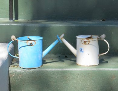 toypails3.19.26.jpg