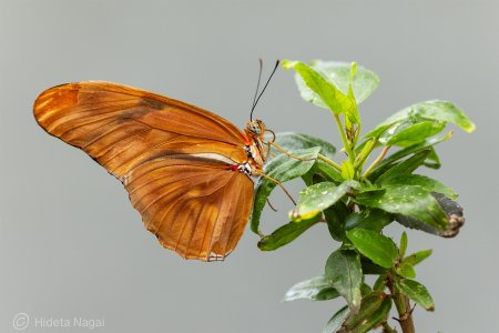 R516_5098.jpg