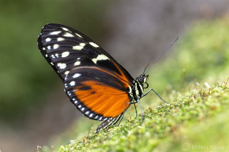 R516_5224.jpg