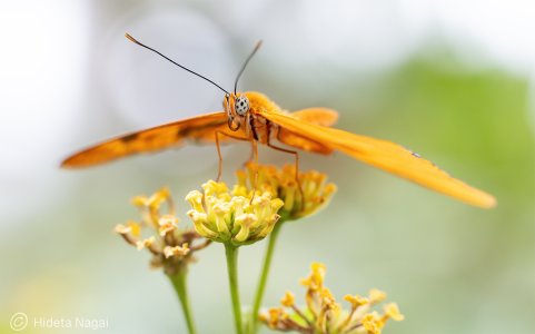 R516_4429.jpg
