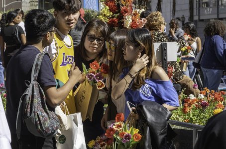 SFTulipDay-8822.jpg