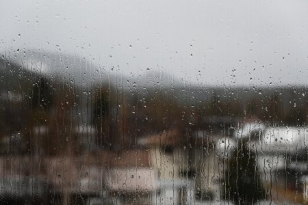 DSC_0115.jpg