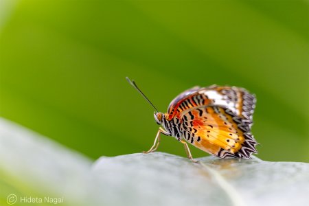 R516_5654.jpg