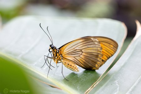 R516_5577.jpg