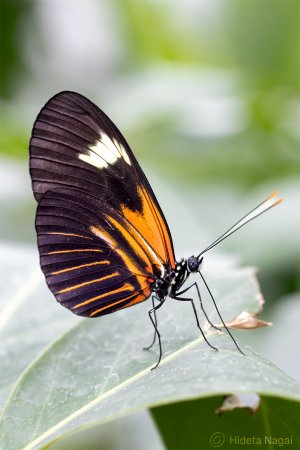 R516_5566.jpg