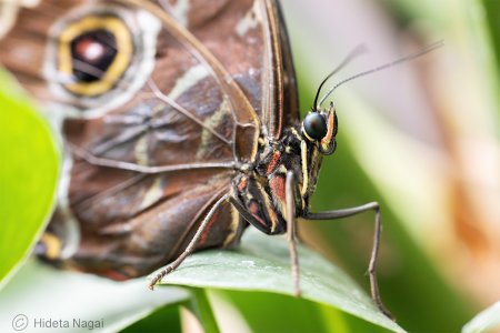 R516_4051.jpg
