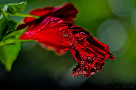 A6406751-f.jpg