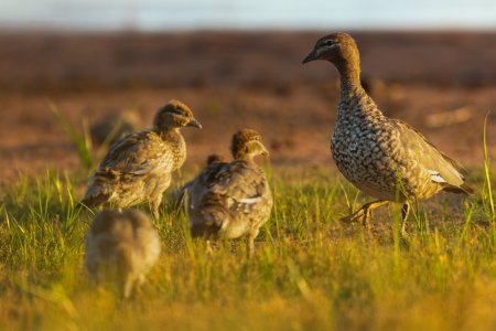 _WP_7458-DxO_DeepPRIME 3-Edit.jpg