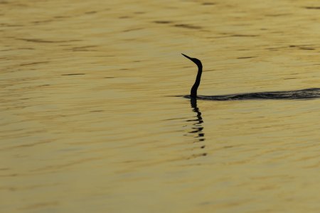 _WP_7488-DxO_DeepPRIME 3-Edit.jpg