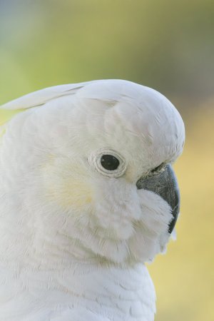 _MG_6611-DxO_DeepPRIME 3-Edit.jpg