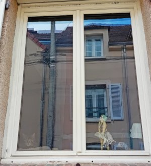 20230430_163920 reflet et ....jpg