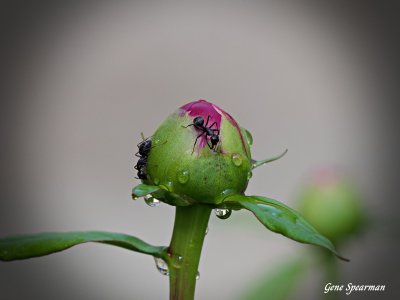 IMG_5569.jpg
