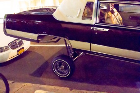 untitled (3258 of 3938).jpg