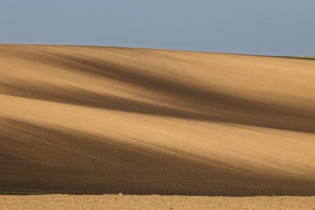 _W4A1570.jpg