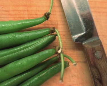 grnbeansknife4.13.26.jpg