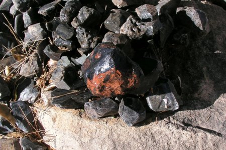 P1010122.JPG
