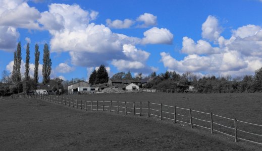 065A2981 2.jpg