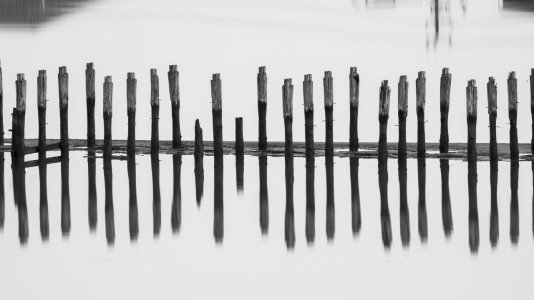 Reflections-1.jpg