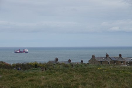 DSC00738.JPG